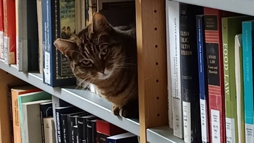 Law School Library Training Seminars 2026-2027