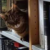 Law School Library Training Seminars 2025-2026